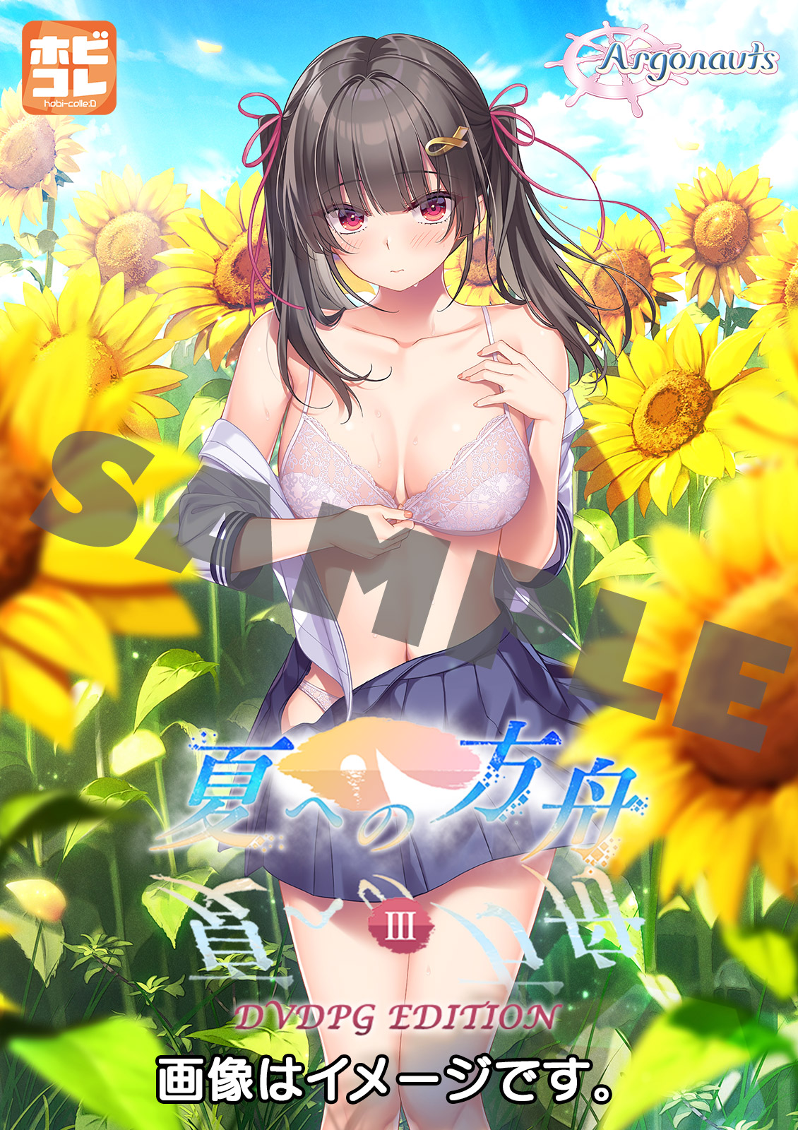 夏への方舟３ [PG EDITION]
